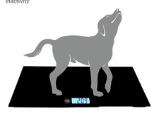 Weighing Scales LCD Digital
