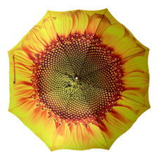 Walking Umbrella Sunflower Yellow Bloom Ladies Adult Flower Brolly Automatic NEW