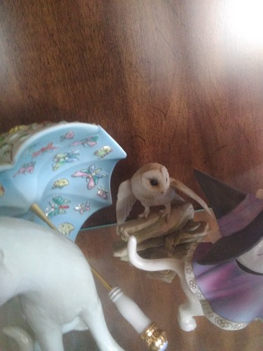 Teviotdale porcelain barn owl