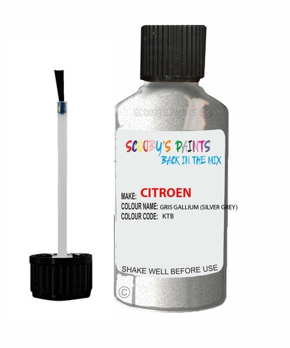 Paint for citroen - gris, gallium