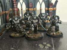 Fully Painted and Based Silver