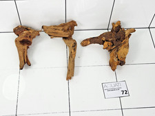 Set of 3 Small Nano Aquarium