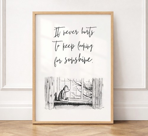 Winnie the pooh - winnie,