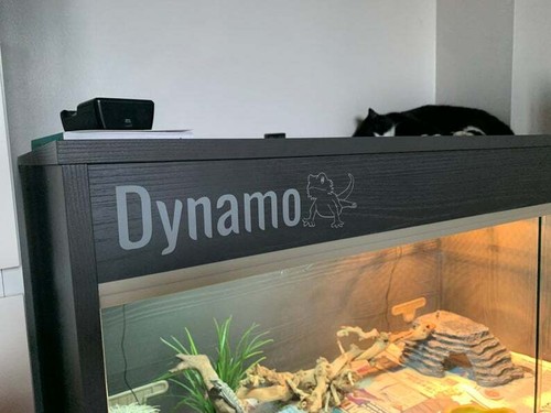 Custom vivarium name sticker - custom,