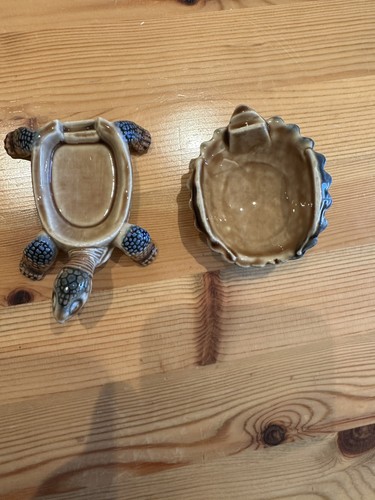 Wade tortoise turtle small