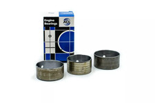 Pinto | RS2000 | Capri |