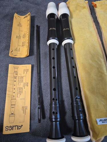 Two aulos recorder 205 - 205, a