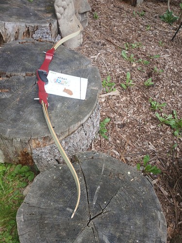 Vintage hoyt archery pro - hoyt,