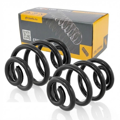 Coil springs rear right - coil,