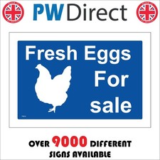 SIGN FRESH EGGS FOR SALE TR914