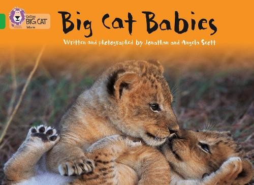 Big cat babies - big,