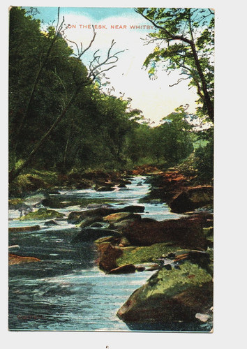 Yorkshire the esk near - yorkshire.,