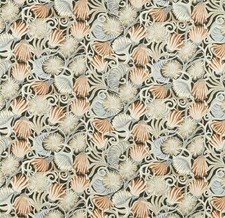 Harlequin Montipora fabric