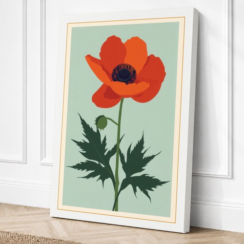 Red poppy botanical - poppy,