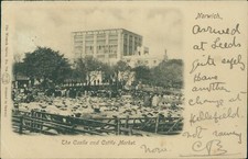 Norwich Castle & cattle Market