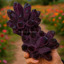 500G Large Natural Violet