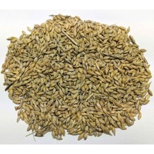 Whole Barley Chicken Feed