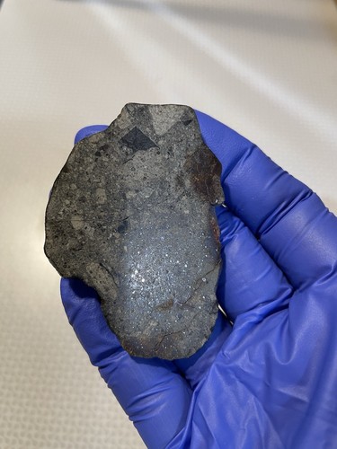 Nwa 16107 ll5 breccia - 16107, ll5-6