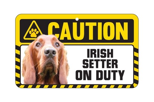 Dog sign caution beware - caution,
