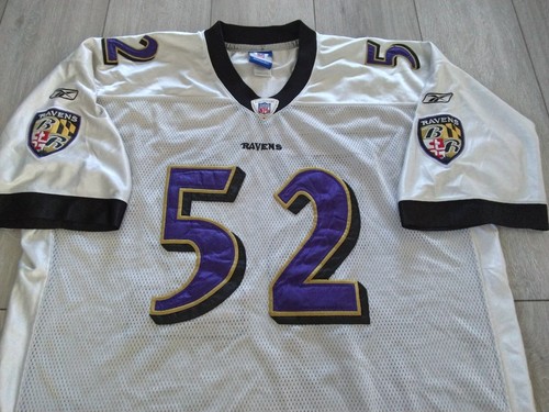 Baltimore ravens nfl - ravens, field