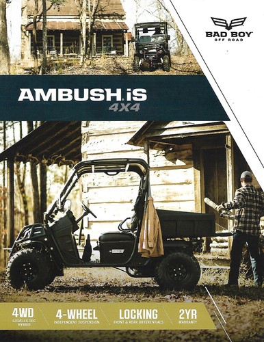 Atv data sheet bad boy - -,