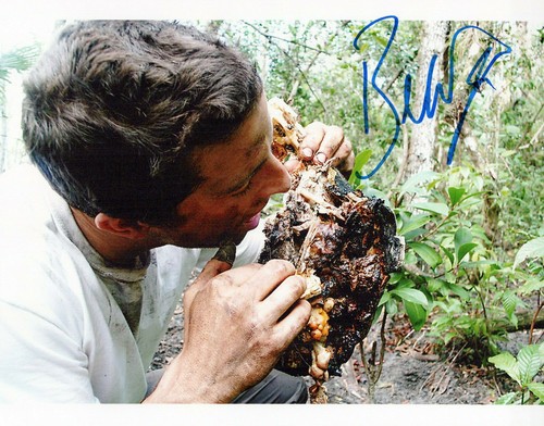 Bear grylls man wild - grylls, vs.