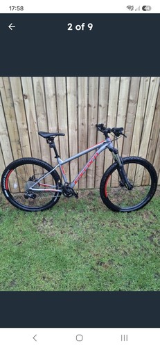 Carrara sulcata bike
