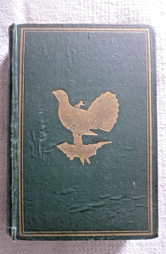 The game birds and - game, wild