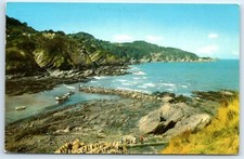 Postcard Combe Martin The Bay Devon England posted 1971