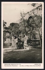 Gibraltar, Alameda Park, Jaw