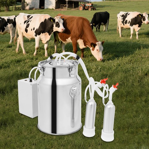 Pulsation electric cow milking - pulsation,