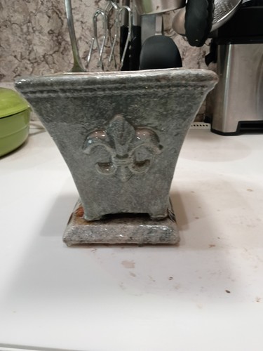 Semi cascade bonsai - semi,