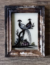 Indian Pair Of Pheasants