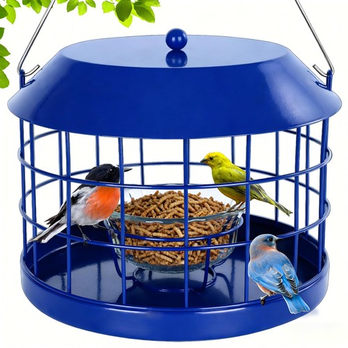 Gbekery caged bluebird feeder - bluebird,