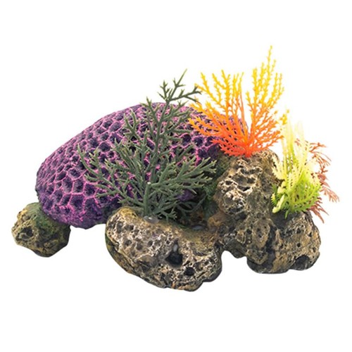 Aquarium turtle coral - turtle, decor