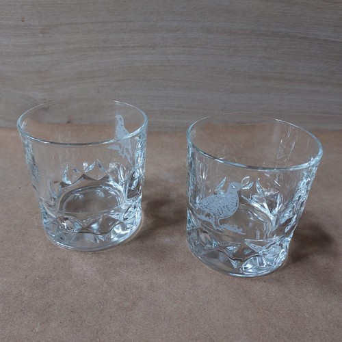 The famous grouse whisky - grouse,