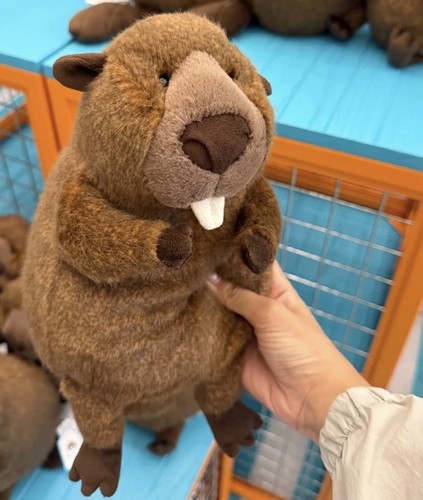 Jellycat briggs beaver plush - briggs,