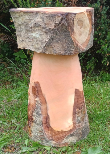 Mushroom shaped solid wood log