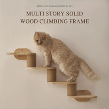 Wall Mounted Cat Climbing Cat