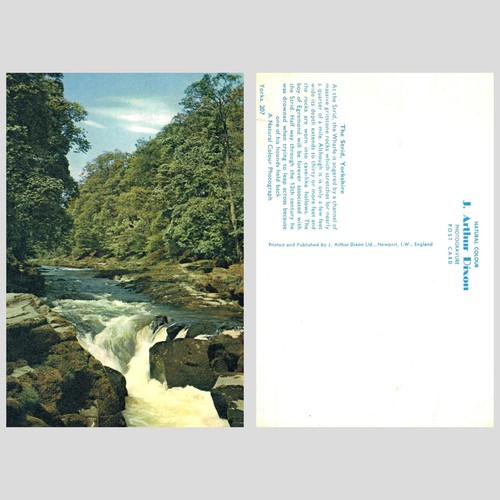 Vintage postcard the strid - postcard,