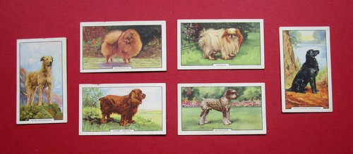 Gallaher six vintage - six,