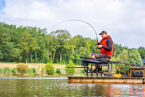 Guru gauge pro waggler rods - guru,