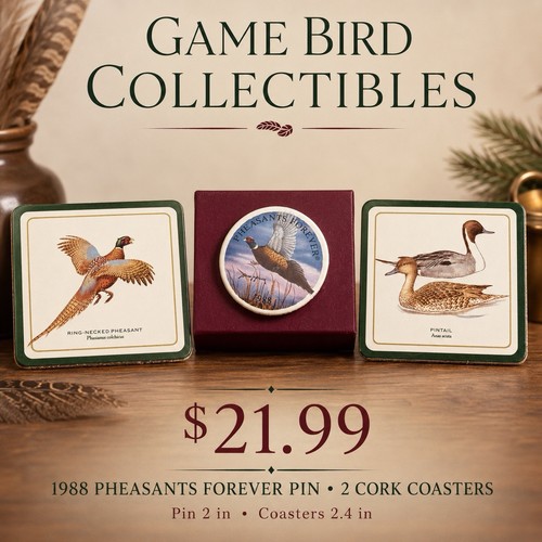 Pheasants forever pin 2 cork - forever,