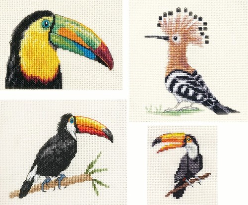 Keel billed toucan toco - keel, toucan,