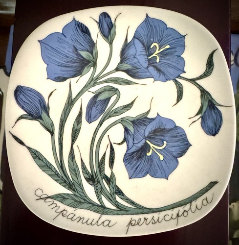 Vintage esteri tomula arabia - tomula,