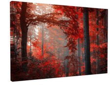 STUNNING AUTUMN WOODLAND RED TREE CANVAS PICTURE PRINT WALL ART