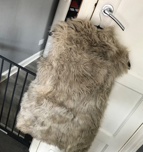 Women fur zara gilet - fur,