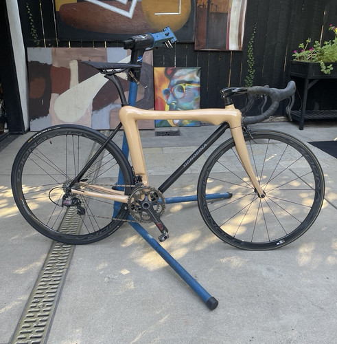 Men road bike - bike, carbon