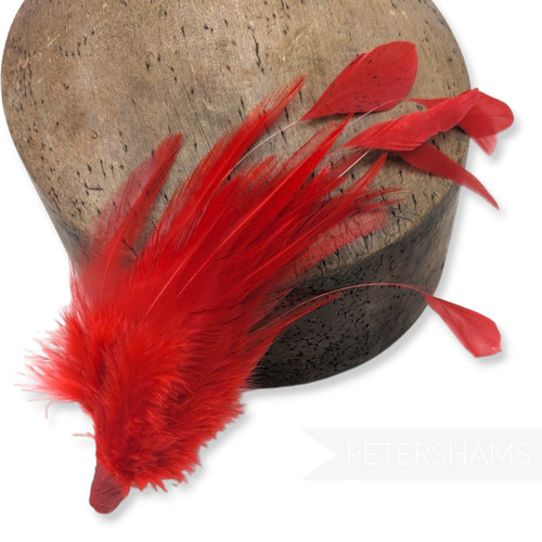 Hackle stripped coque - stripped,