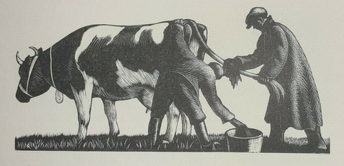 Prize cow print - ,
